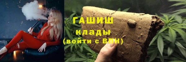 дживик Бородино