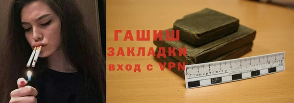 дживик Бородино