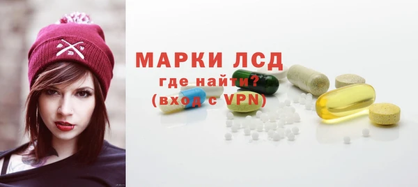 дживик Бородино