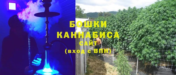 дживик Бородино