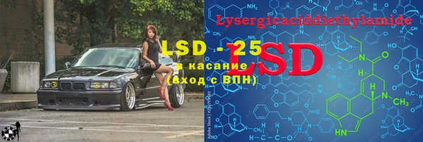 дживик Бородино