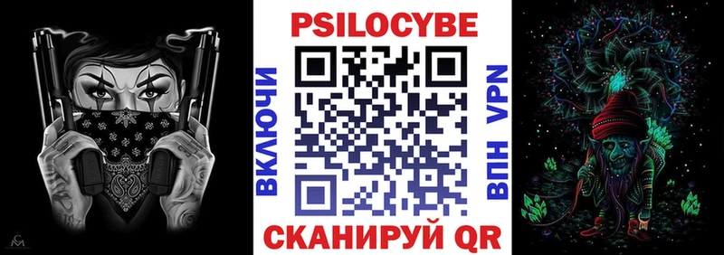 Псилоцибиновые грибы Psilocybe Козьмодемьянск