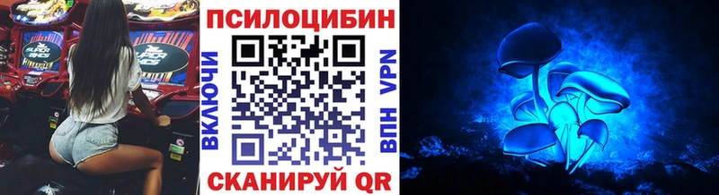 Галлюциногенные грибы MAGIC MUSHROOMS  Купить где  Козьмодемьянск 